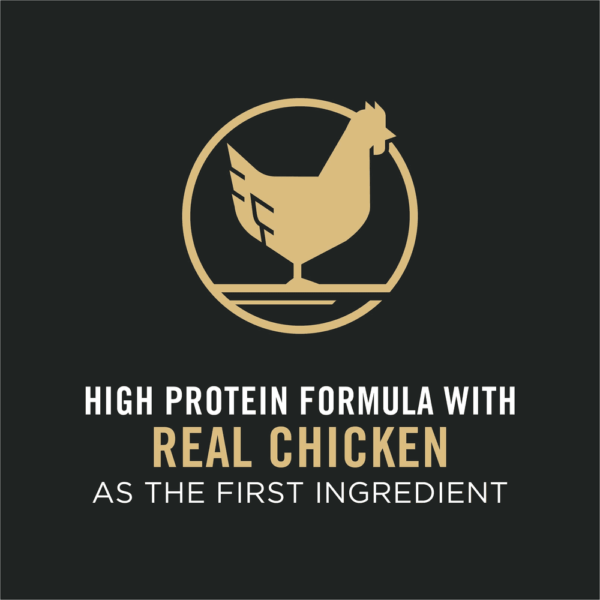 Pro Plan Adult Complete Essentials Chicken Rice Dry Dog Food - Image 4