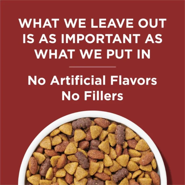 Purina Dog Chow Adult Beef Flavor Dog Food - Image 5